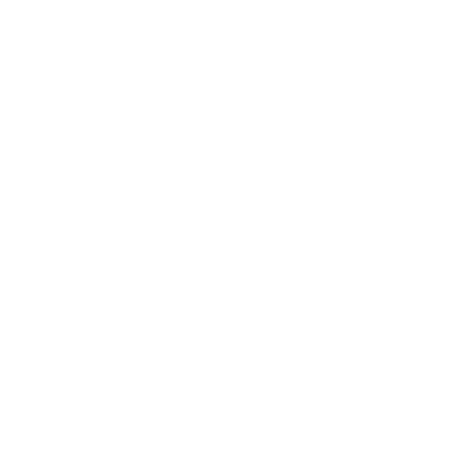 icon-customer-first-white